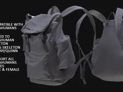 Backpack 208 - All MH Bodies - UE5 Skeletons - Rigged Low-poly 3D model
