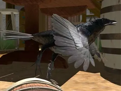 CROW - Fully Rigged For Lightwave 3D model