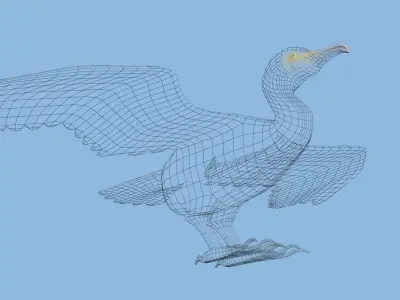 Low Poly Cormorant model with wings spread Low-poly 3D model