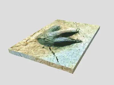 Footprint - fossil - dinosaur - 3D Printing 3D model