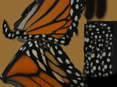 Rig Butterfly Low-poly 3D model