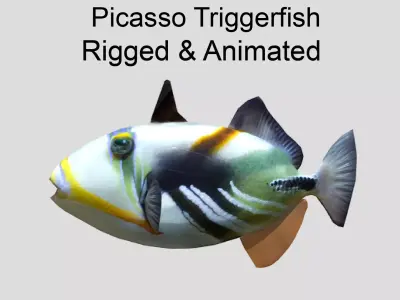Picasso Triggerfish Realistic Animated Low-poly 3D model