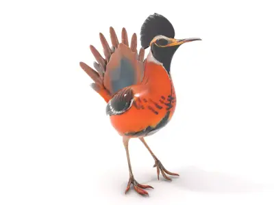 Orange Crested Bird model pack Low-poly 3D model
