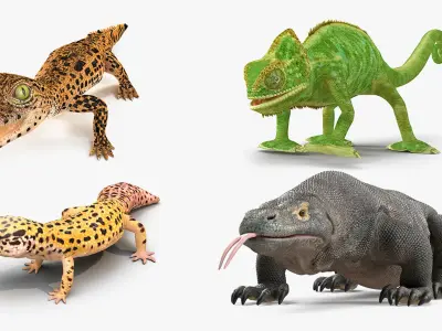 Rigged Reptiles Collection 2 for Cinema 4D 3D model