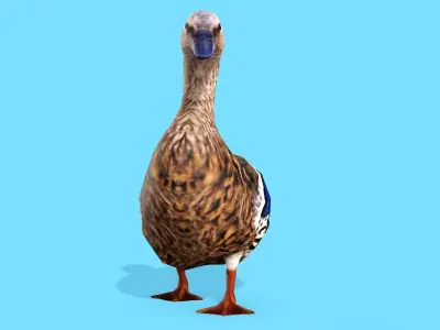 BROWN DUCK RIGGED ANIMAED 3 Low-poly 3D model