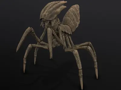 Slicer beetle Low-poly 3D model