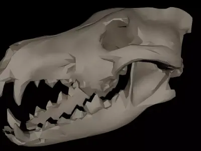 Dire Wolf Skull 3D model