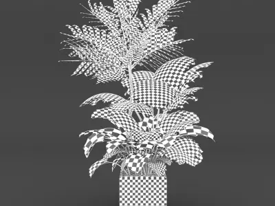 Indoor Plants Set 02 Free 3D model