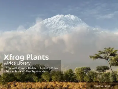 2020 XfrogPlants Africa Library  3D model