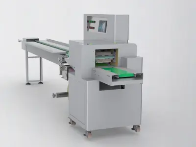 Pillow mask packing machine 3D model