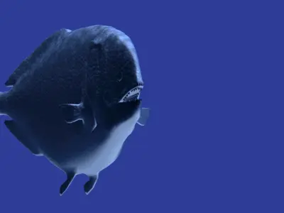 Dapedium puffer fish 3D model