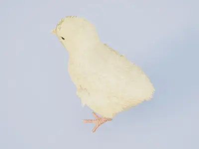 Feathered Chick Low-poly 3D model