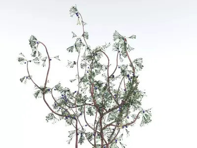 EVERYPlant Baiera 1 --14 Models-- 3D model