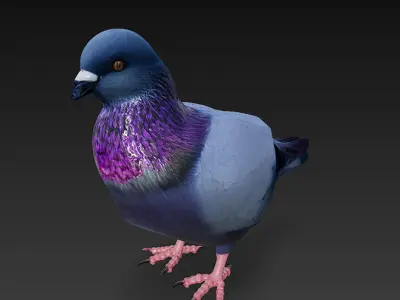 Pigeon 3D Model Basic - Low Poly Simple Low-poly 3D model