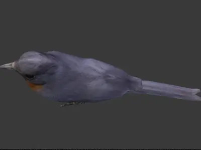 brid for VR 3D model