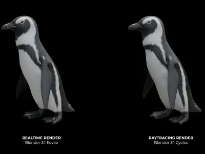 African penguin Low-poly 3D model