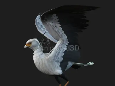 SecretaryBird A1 3D model