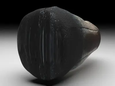 Dragon Tooth 3D model