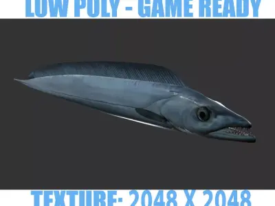 Sea Eel Low-poly 3D model