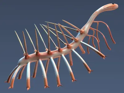 hallucigenia 3D model