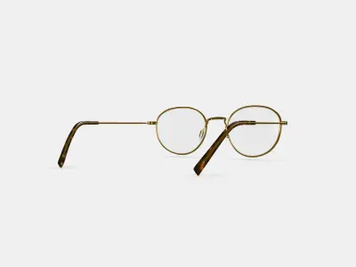 Rafael Eyeglasses in Polished Gold 3D model