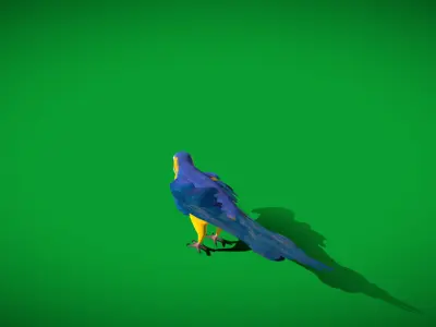 Macaw Ara Parrot Low-poly 3D model