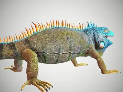 American Iguana Low-poly 3D model