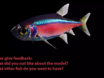Neon Tetra Fish Free 3D model