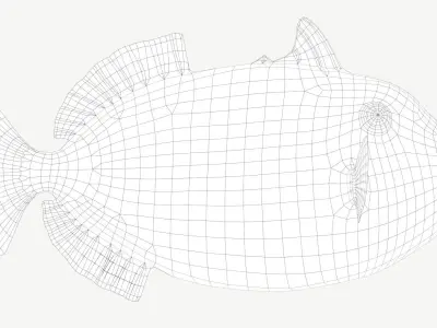 Clown Triggerfish Low-poly 3D model