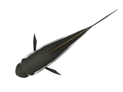 Cobia Fish Cartoon Animated Low-poly 3D model