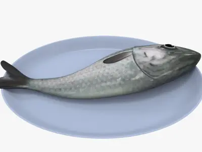 plate of rawfish Low-poly 3D model