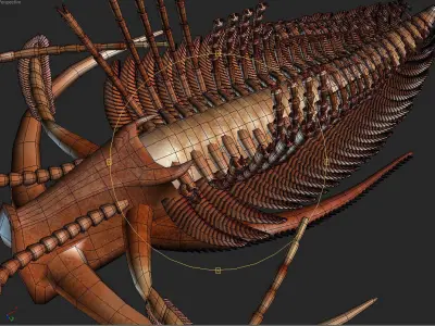 Marrella splendens 3D model