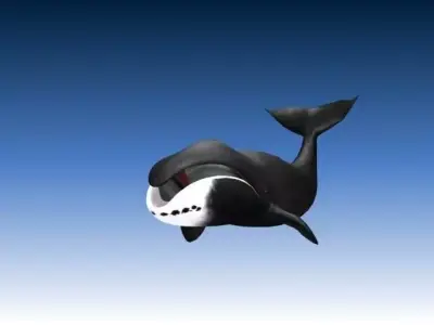 Bow Head Wahle Low-poly 3D model