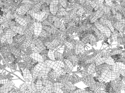 Prunus Padus 6 3D model