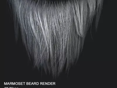 Oldman Hair Texture  3D model