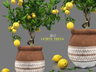 lemon trees 3D model