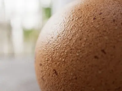 Chicken Egg  low-poly 3D model with realistic 4k texture Low-poly 3D model