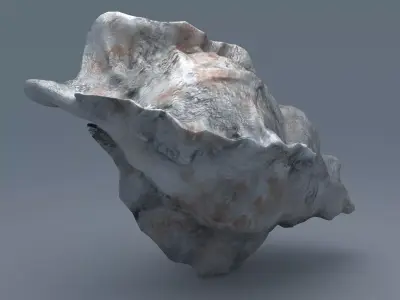 Sea Snail Conch Low-poly 3D model