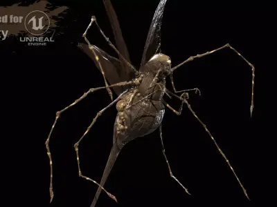 LandBug5 A1 Low-poly 3D model