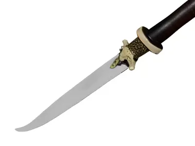 Fantasy Dagger with Golden Hilt 3D model