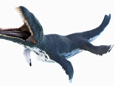 Liopleurodon Animated 3D model