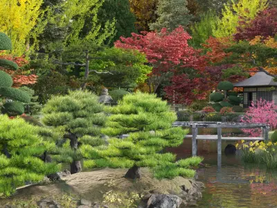 Bundle 24 - Japanese Garden 3D model