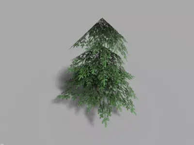 low poly small spruce Low-poly 3D model