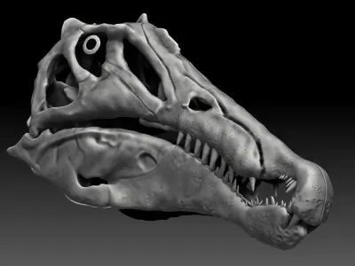 Spinosaurus 2020 version Skull Set Skeletons Sculpt Project 3D model