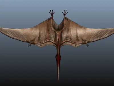 Pteranodon dinosaur flying in sky 3D model