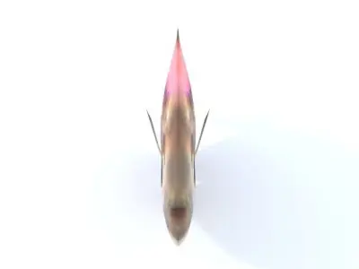 Crystal Catfish Low-poly 3D model