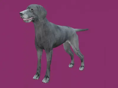 dog lowpoly 3d model 3D model