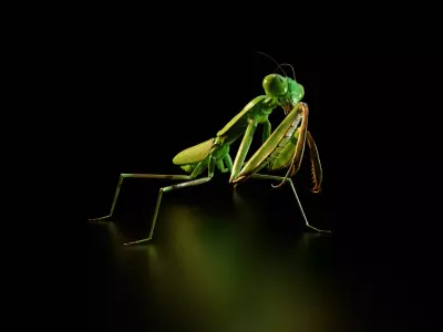 Praying Mantis Rig PBR 3D model