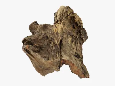 Tree Trunk Piece 16 3D model