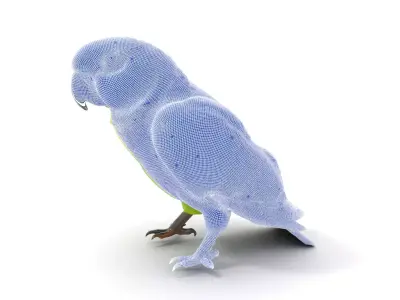 Vibrant Parrot Model Pack Low-poly 3D model